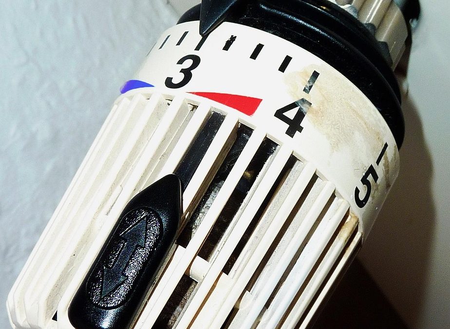 Dinas Damkar Bandung Barat Tangani Pohon Tumbang di Jalan Protokol